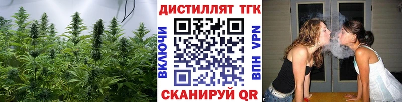 где купить наркоту  Мурино  ТГК THC oil 